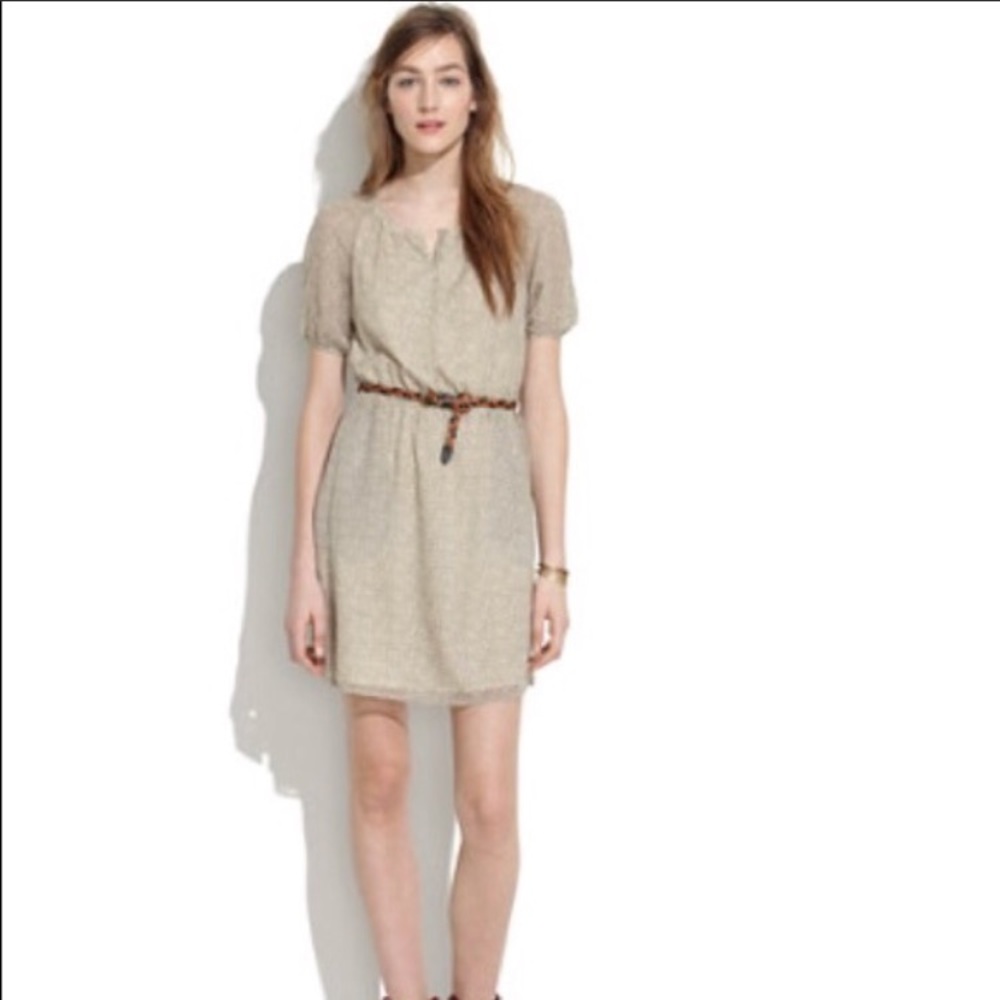 Diamond Silk Duo Madewell Dress